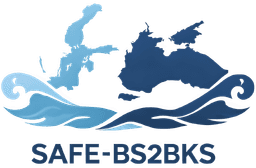 SAFE-BS2BKS mini logo